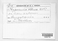 Image Associated With the Occurence